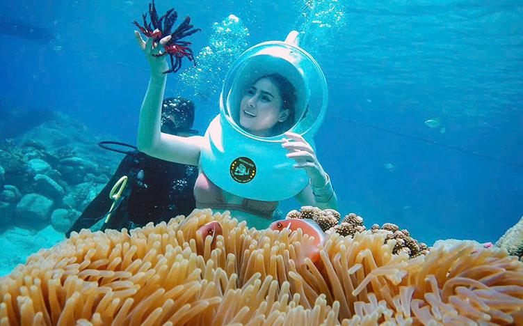 Quy Nhon Underwater Walking Tour – Half-Day Coral Reef Snorkeling: Discover the Magnificent Ocean